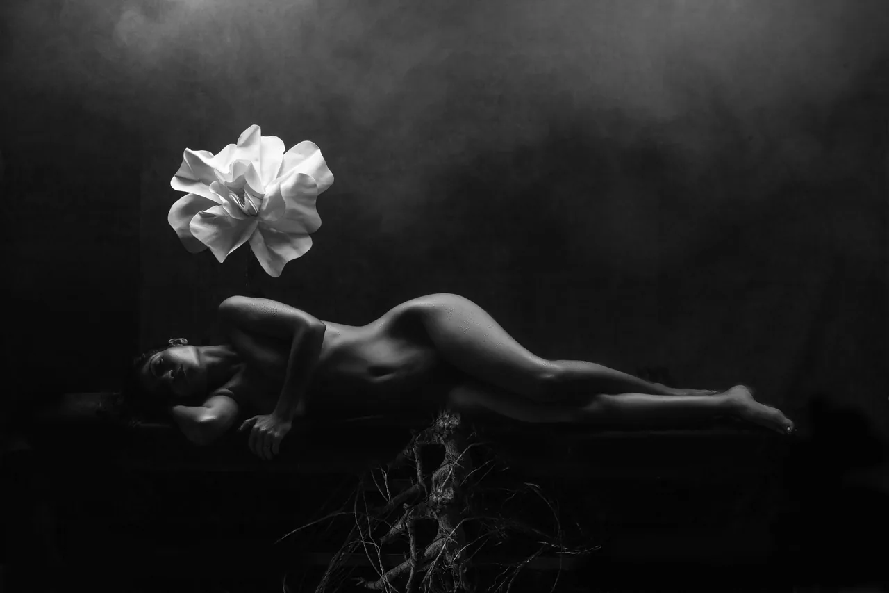 A woman resting in darkness beneath a white flower